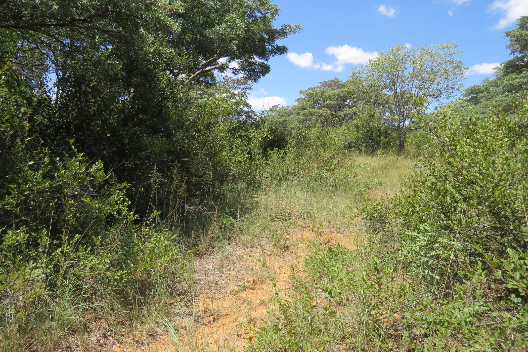 Vacant land for sale in Modimolle Rural - 1MDM1649899