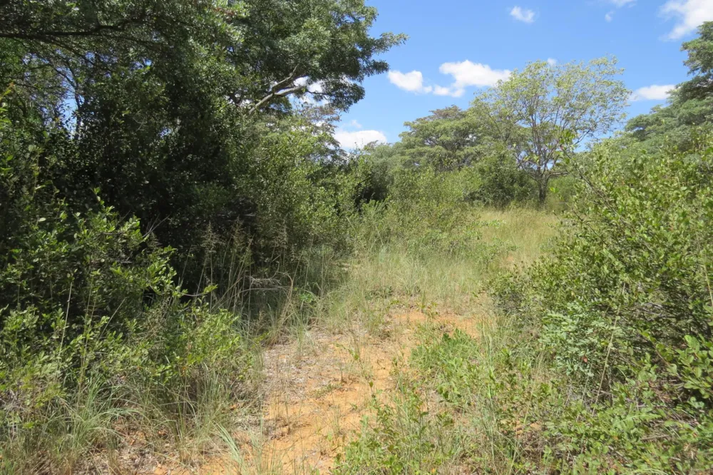 Vacant land for sale in Modimolle Rural - 1MDM1649899 Vacant land for sale in Modimolle Rural - 1MDM1649899