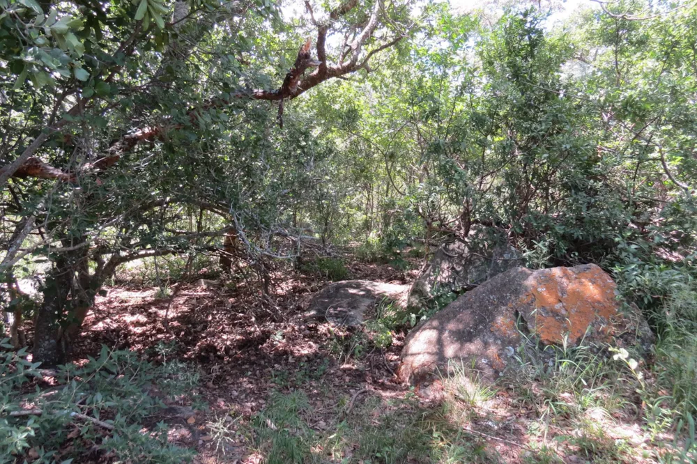 Vacant land for sale in Modimolle Rural - 1MDM1649899 Vacant land for sale in Modimolle Rural - 1MDM1649899