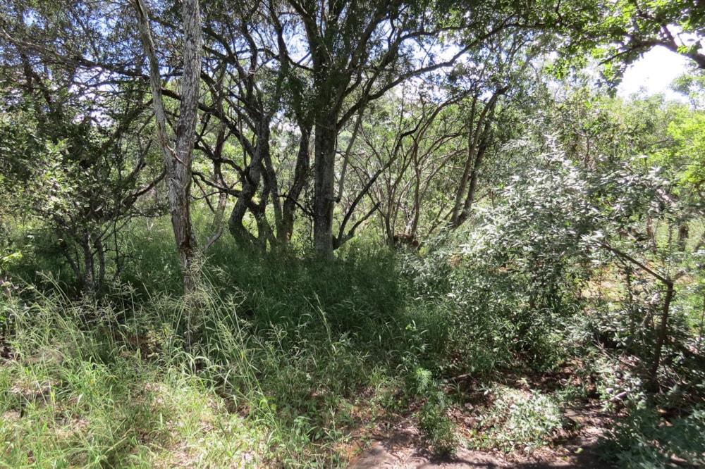 Vacant land for sale in Modimolle Rural - 1MDM1649899