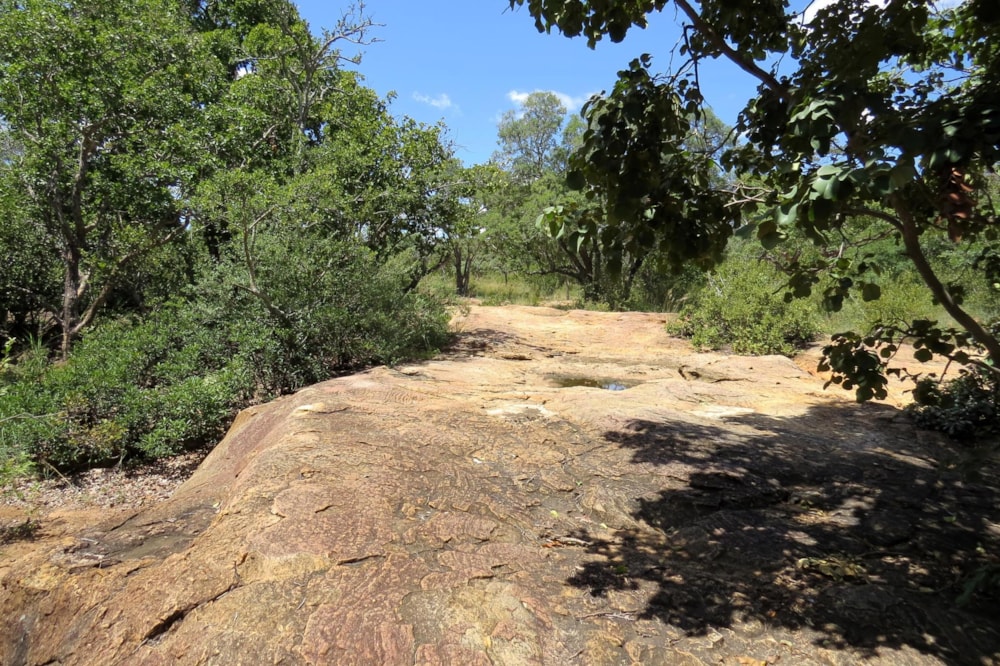 Vacant land for sale in Modimolle Rural - 1MDM1650093