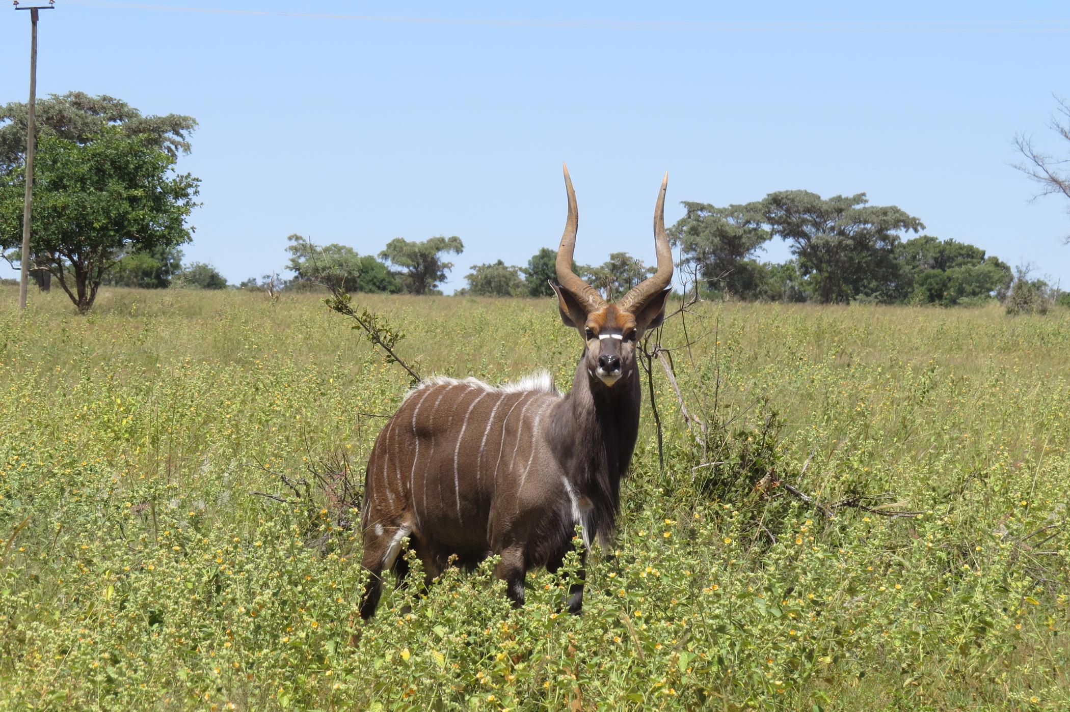 Vacant land for sale in Modimolle Rural - 1MDM1650093