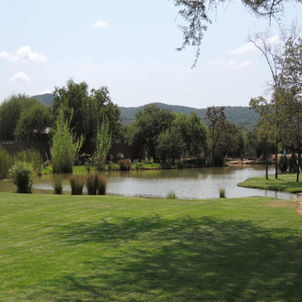 Game farm for sale in Bela Bela Rural - 1MDM1659203