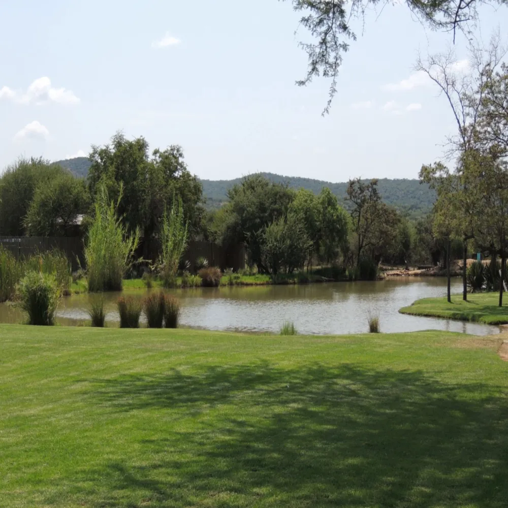 Game farm for sale in Bela Bela Rural - 1MDM1659203 Game farm for sale in Bela Bela Rural - 1MDM1659203