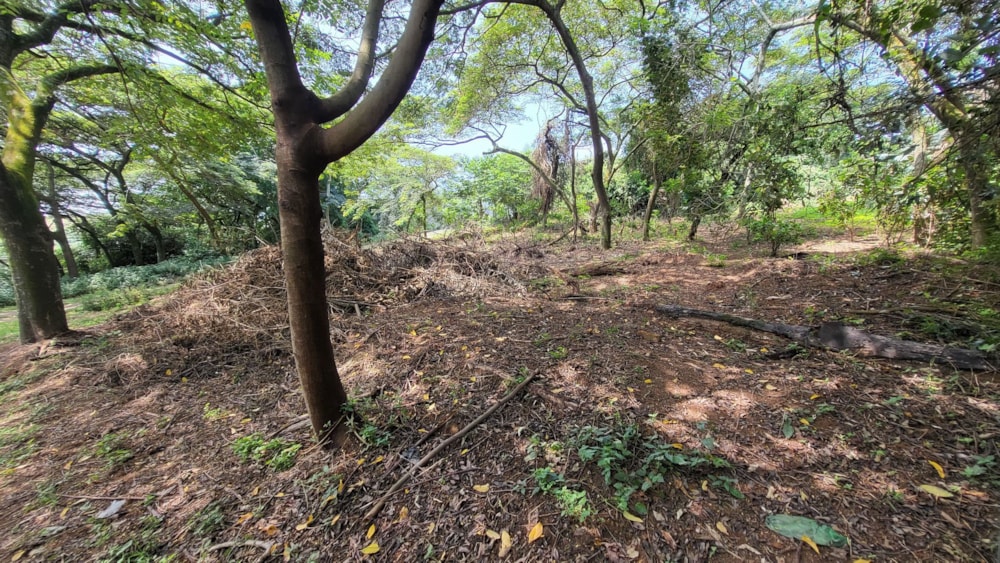 Residential vacant land for sale in Elaleni Coastal Forest Estate - 1BD1650490