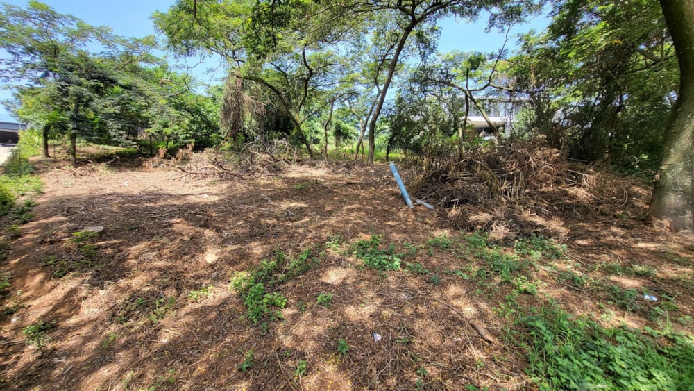 Residential vacant land for sale in Elaleni Coastal Forest Estate - 1BD1650490