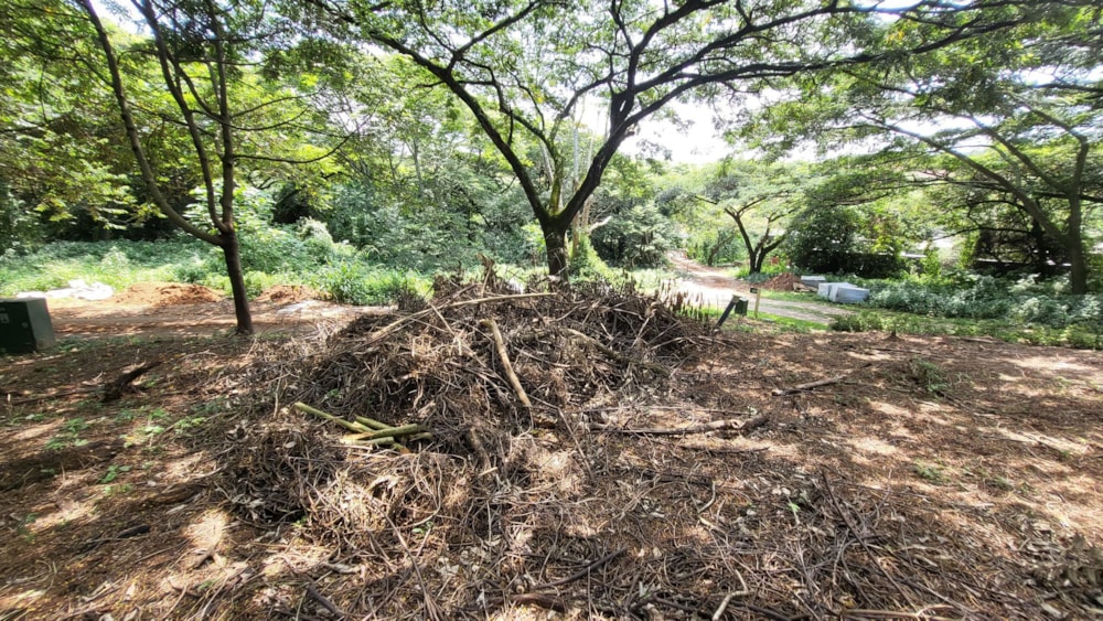 Residential vacant land for sale in Elaleni Coastal Forest Estate - 1BD1650490