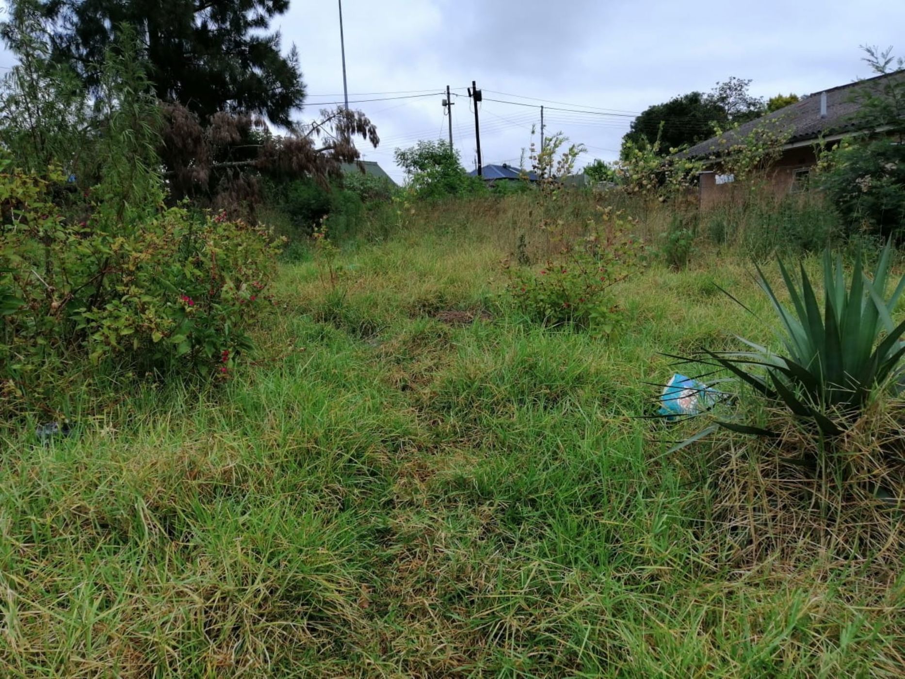 Vacant land for sale in Ikwezi - 1MH1650728