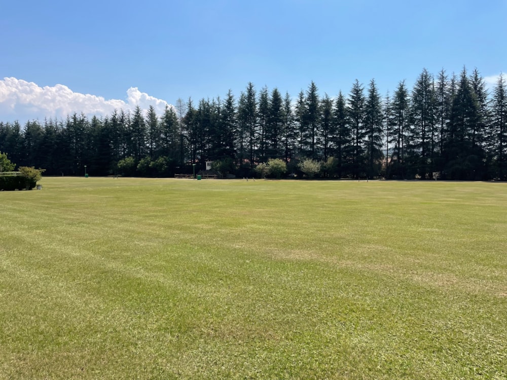 Residential vacant land for sale in Underberg - 1UB1650590