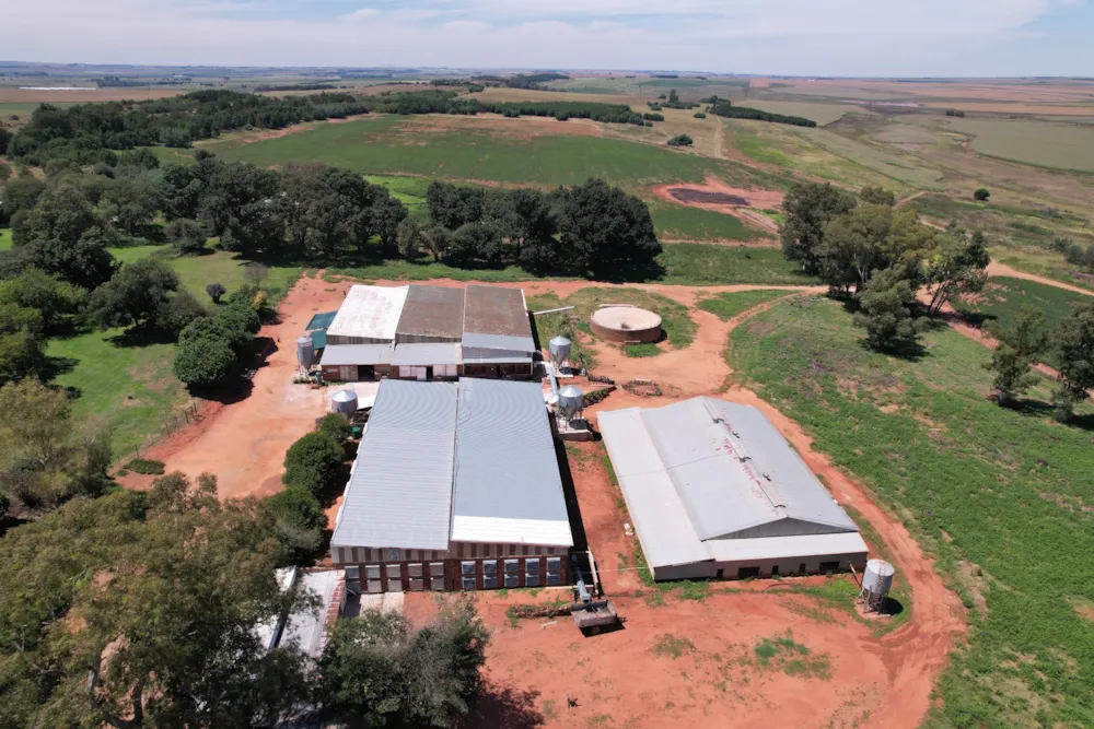 Poultry farm for sale in Delmas - PRN1651115 Poultry farm for sale in Delmas - PRN1651115