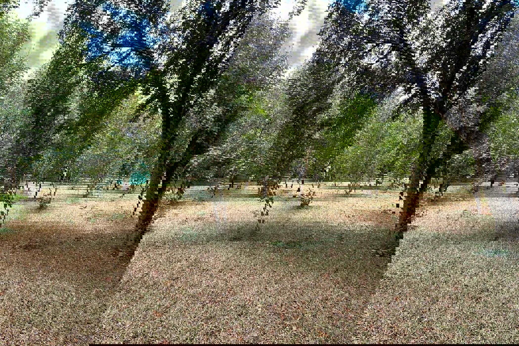 Vacant land for sale in Victoria Falls, Zimbabwe - 3ZB1651133