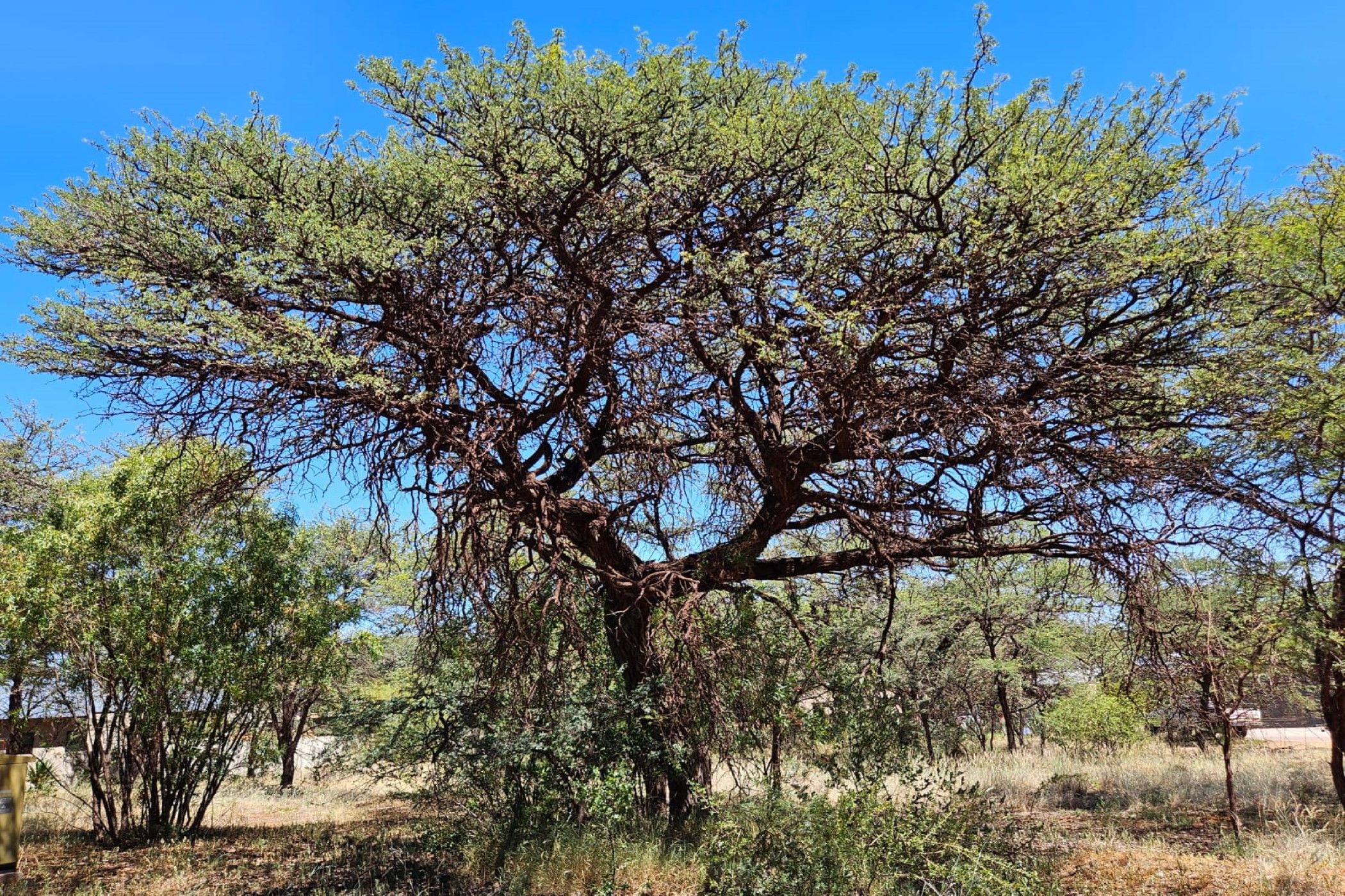 Residential vacant land for sale in Kathu - 1RN1651388