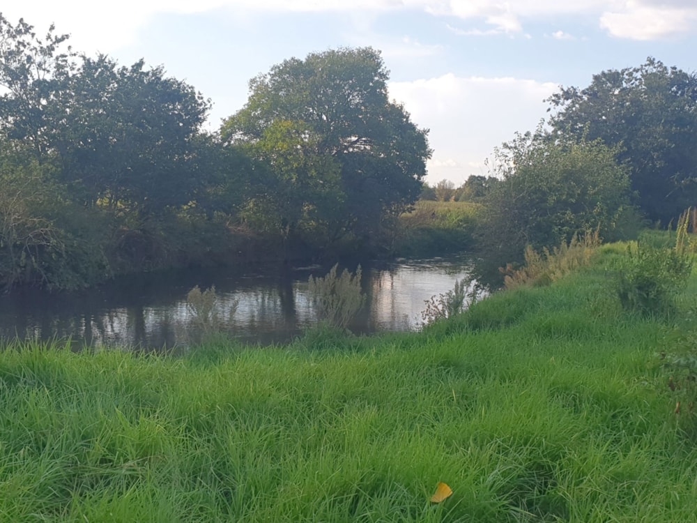 Smallholding for sale in Sherman Park - 1VT1652298 Smallholding for sale in Sherman Park - 1VT1652298