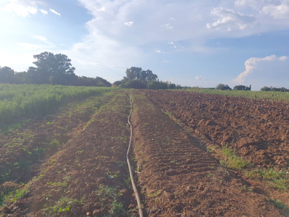 Smallholding for sale in Sherman Park - 1VT1652298 Smallholding for sale in Sherman Park - 1VT1652298