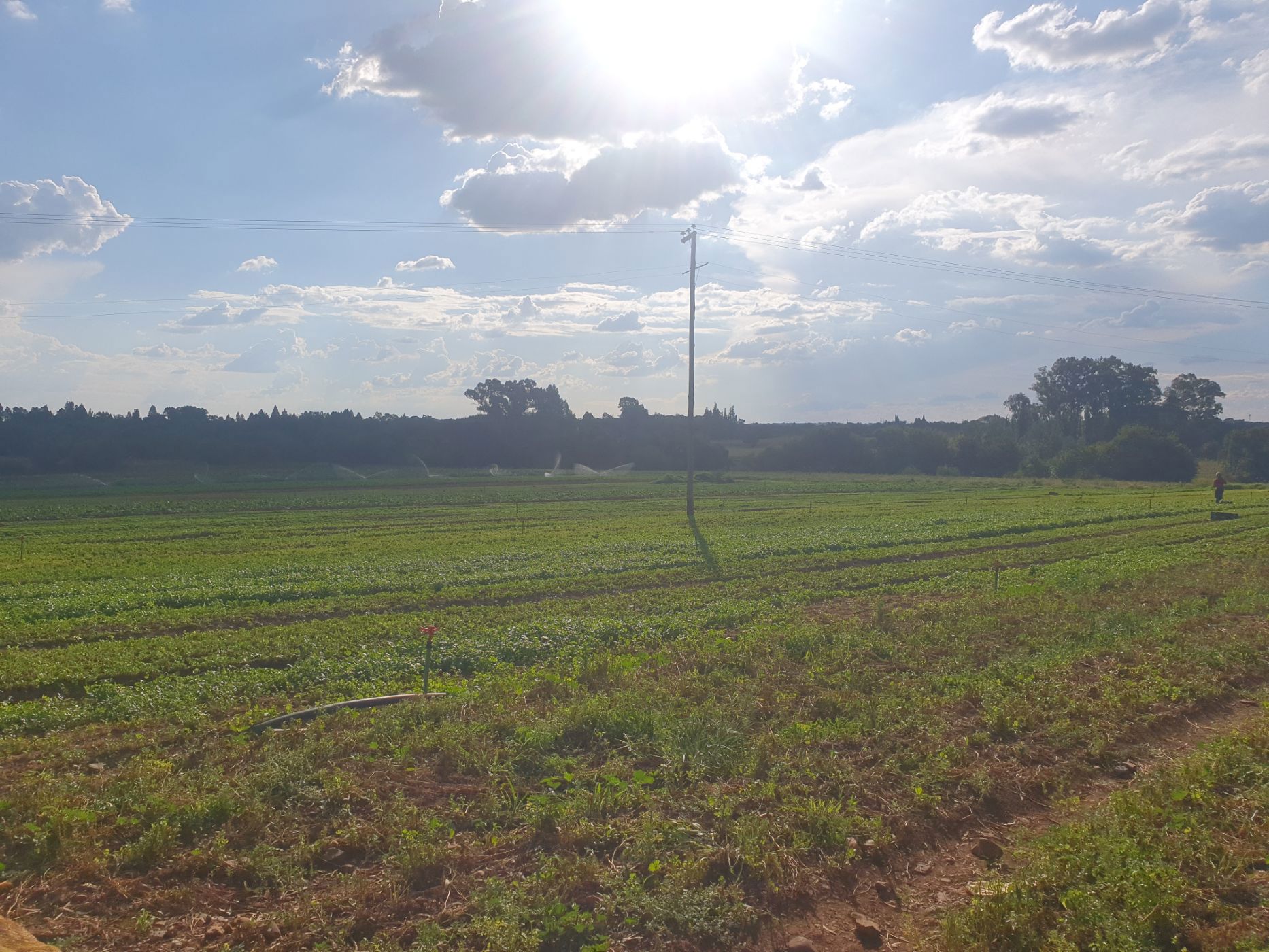 Smallholding for sale in Sherman Park - 1VT1652298