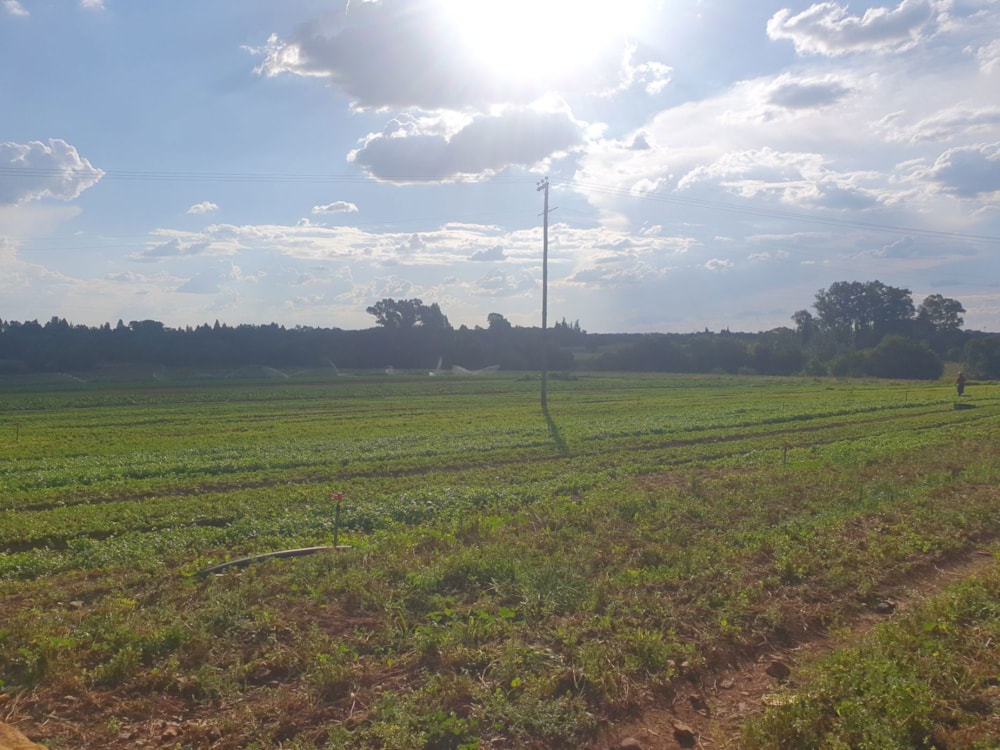 Smallholding for sale in Sherman Park - 1VT1652298 Smallholding for sale in Sherman Park - 1VT1652298