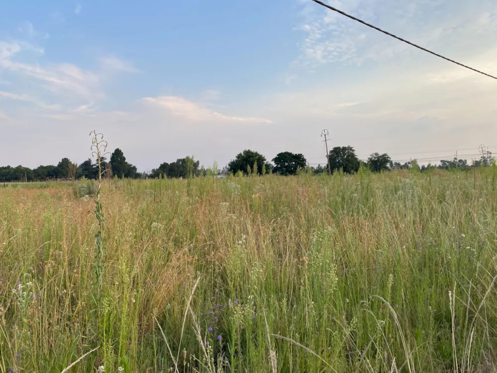 Vacant land for sale in De Deur - 1VT1651652 Vacant land for sale in De Deur - 1VT1651652