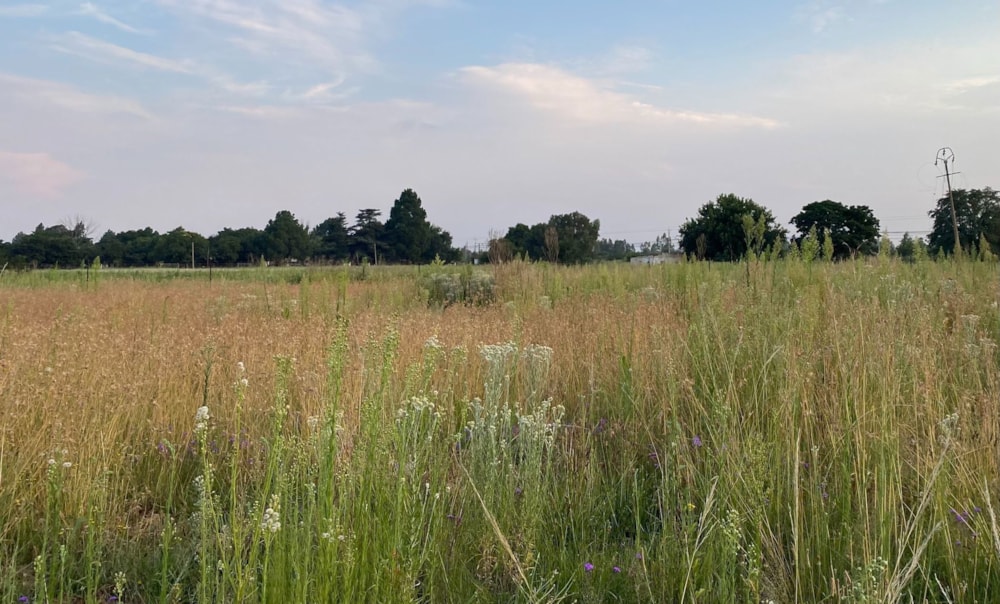 Vacant land for sale in De Deur - 1VT1651652