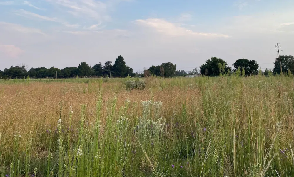Vacant land for sale in De Deur - 1VT1651652 Vacant land for sale in De Deur - 1VT1651652