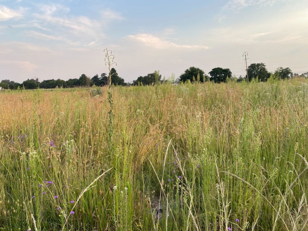 Vacant land for sale in De Deur - 1VT1651652