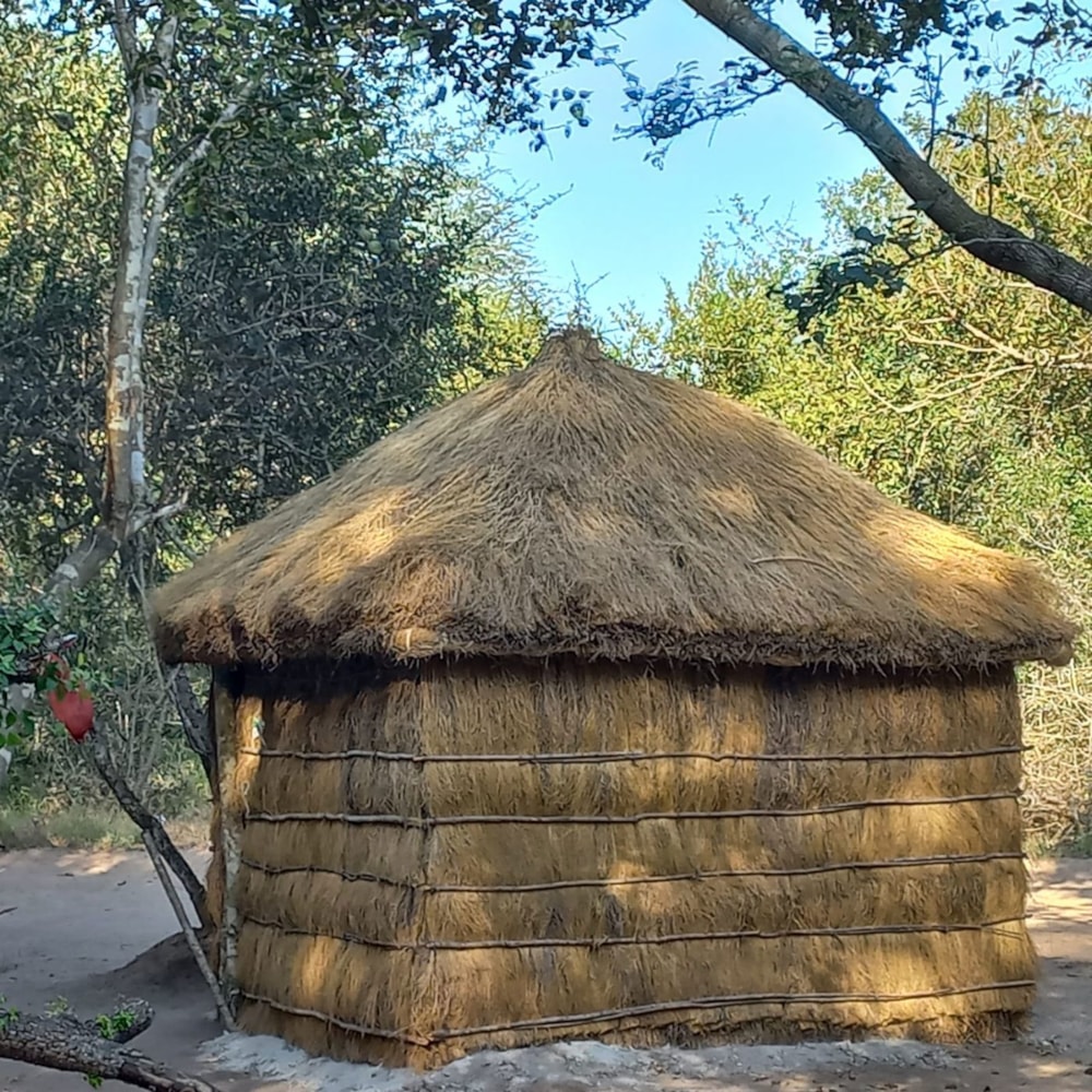 Dairy farm for sale in Inhambane, Inhambane, Mozambique - 3MQ1651800