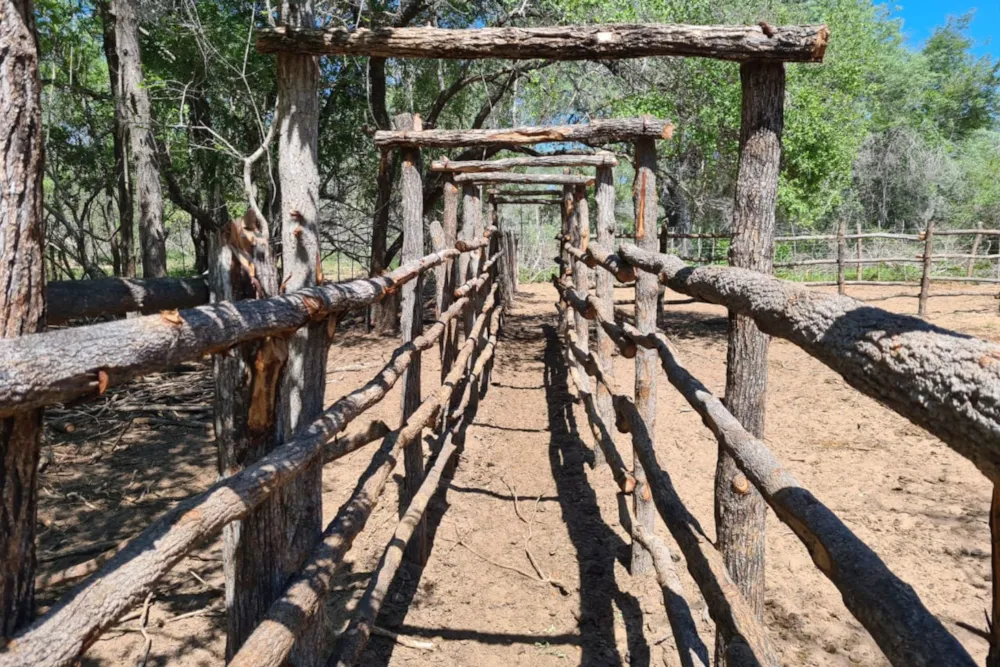 Livestock farm for sale in Inhambane, Inhambane, Mozambique - 3MQ1651800