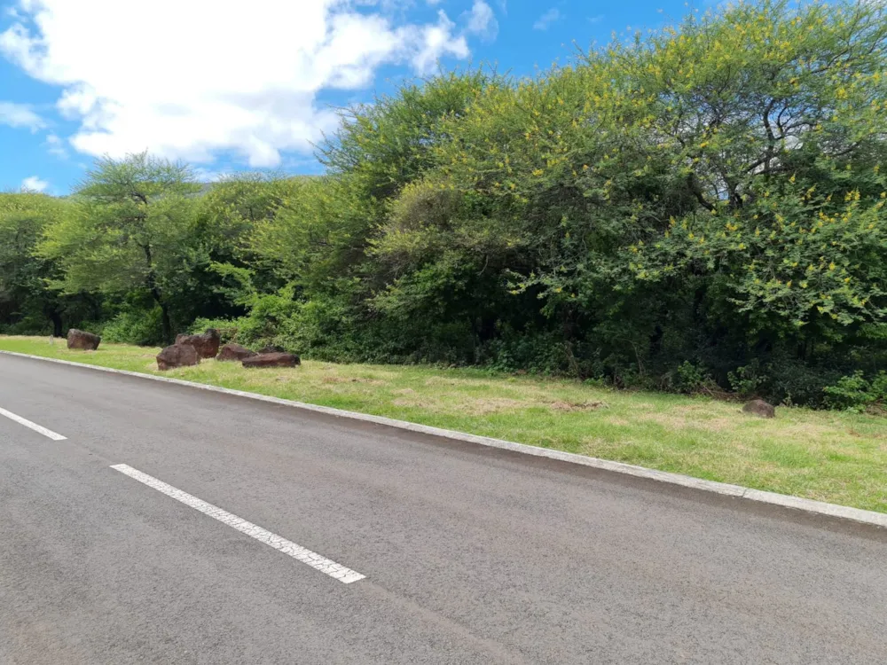 Residential vacant land for sale in Petite Riviere Noire, Mauritius - MUR1742034