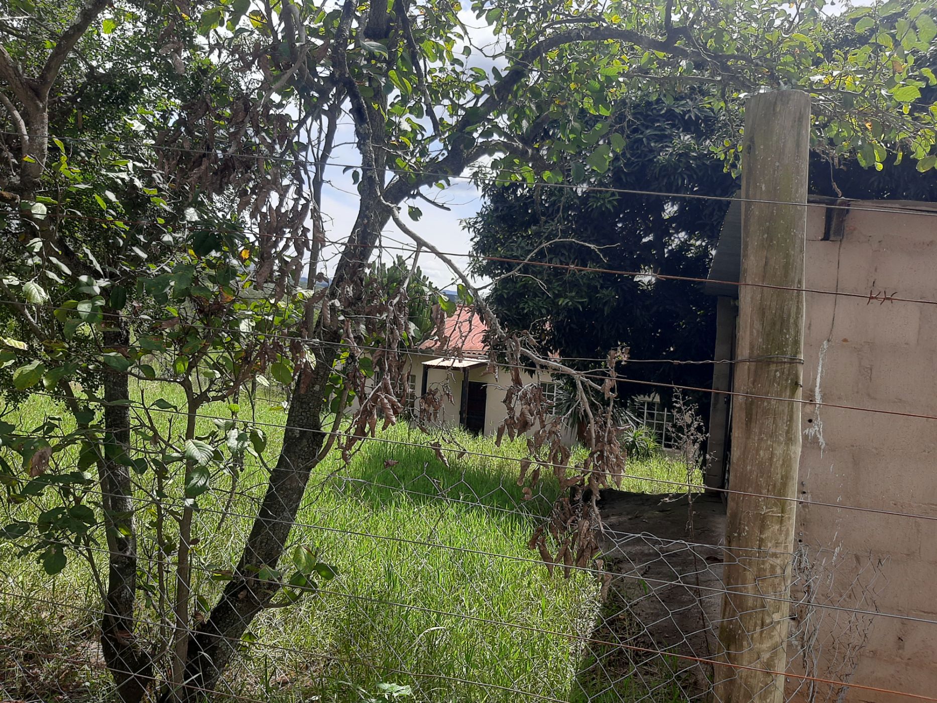 Smallholding for sale in Nelspruit (Mbombela) - 1NS1656013