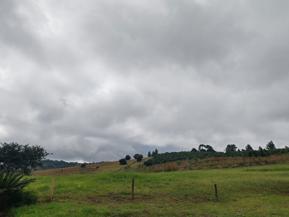 Vacant land for sale in Tzaneen, Limpopo Province - 1TA1651936