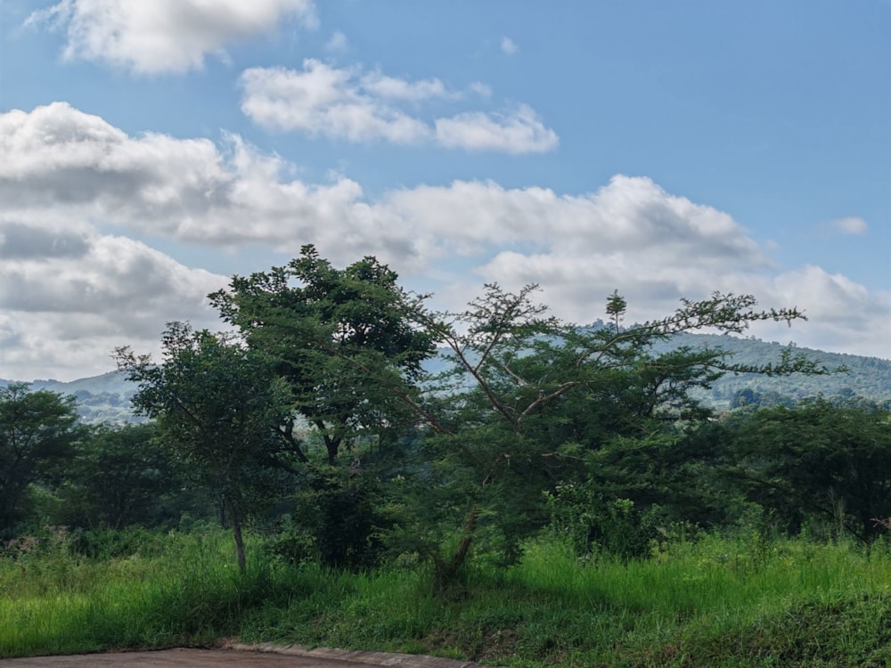 Vacant land for sale in Arbor Park, Newcastle - 1TA1651937