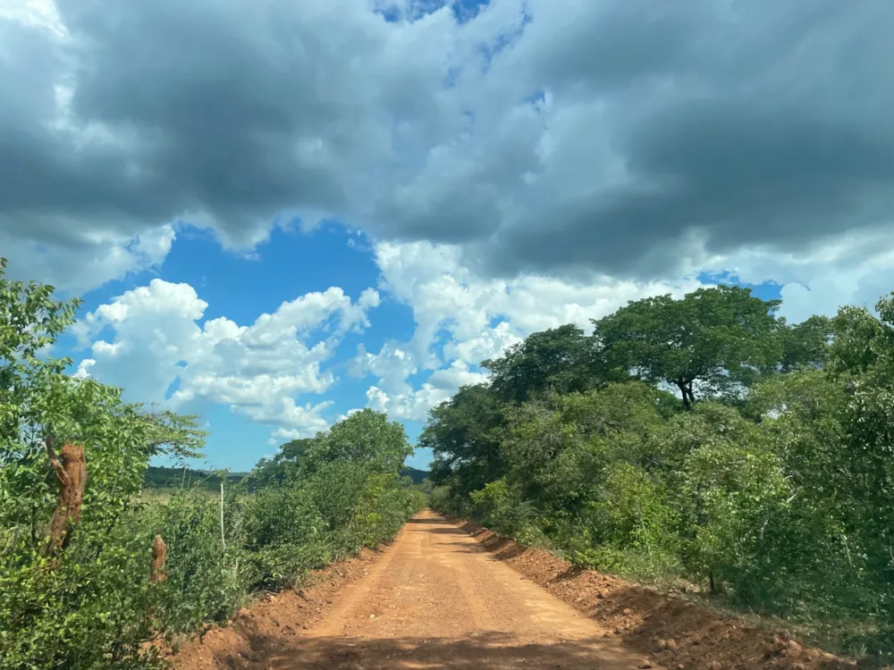 Farm vacant land for sale in Shimabala, Lusaka Province, Zambia - 3ZA1652117 Farm vacant land for sale in Shimabala, Lusaka Province, Zambia - 3ZA1652117