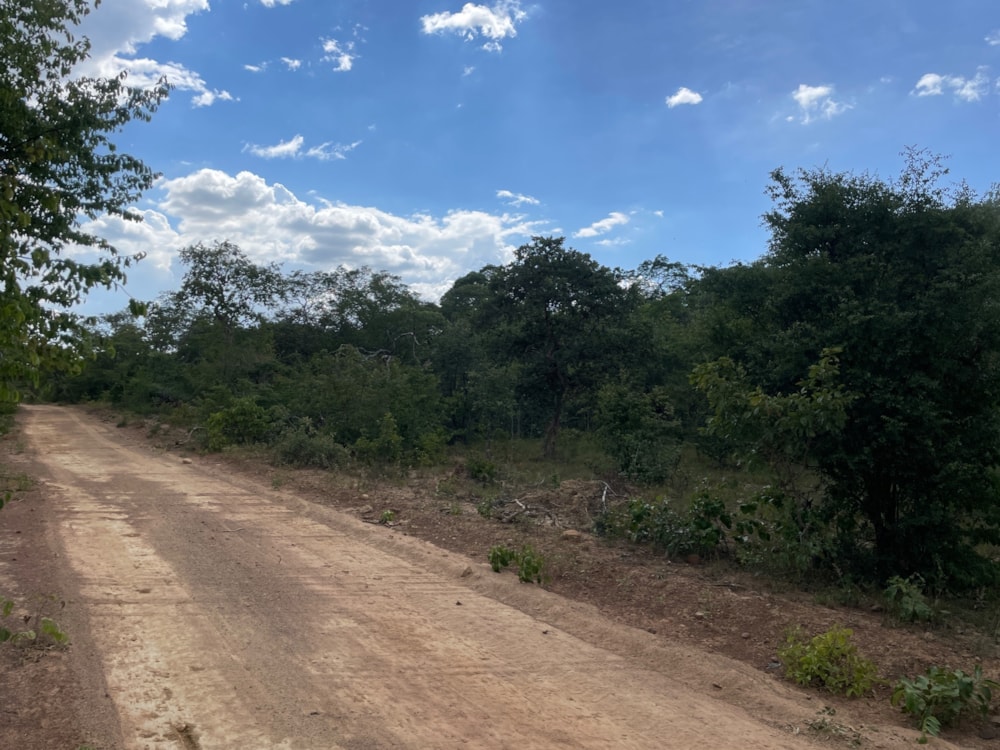 Farm vacant land for sale in Shimabala, Lusaka Province, Zambia - 3ZA1652117