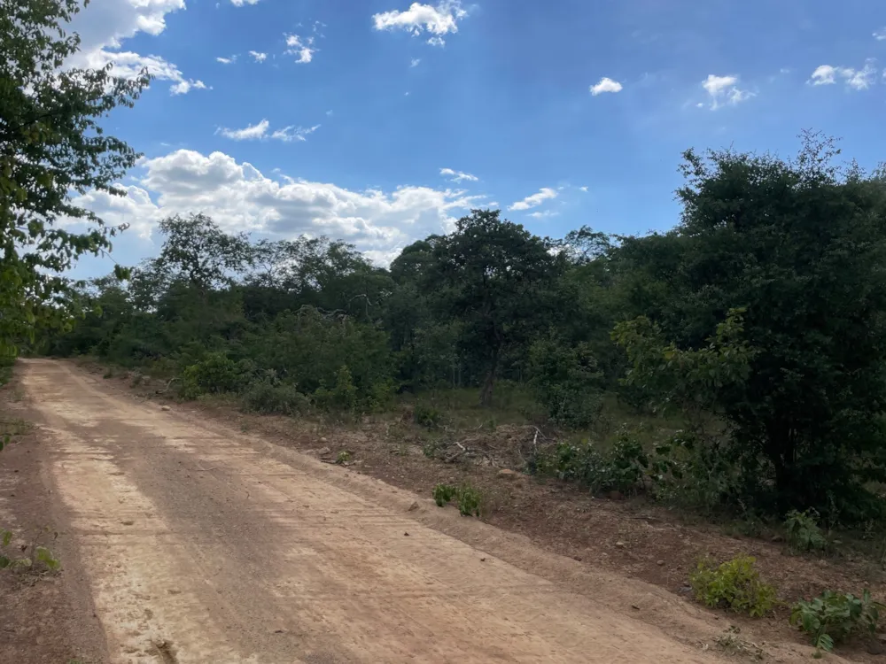 Farm vacant land for sale in Shimabala, Lusaka Province, Zambia - 3ZA1652117 Farm vacant land for sale in Shimabala, Lusaka Province, Zambia - 3ZA1652117
