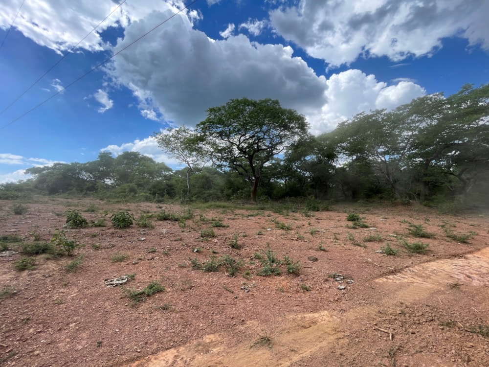 Farm vacant land for sale in Shimabala, Lusaka Province, Zambia - 3ZA1652117