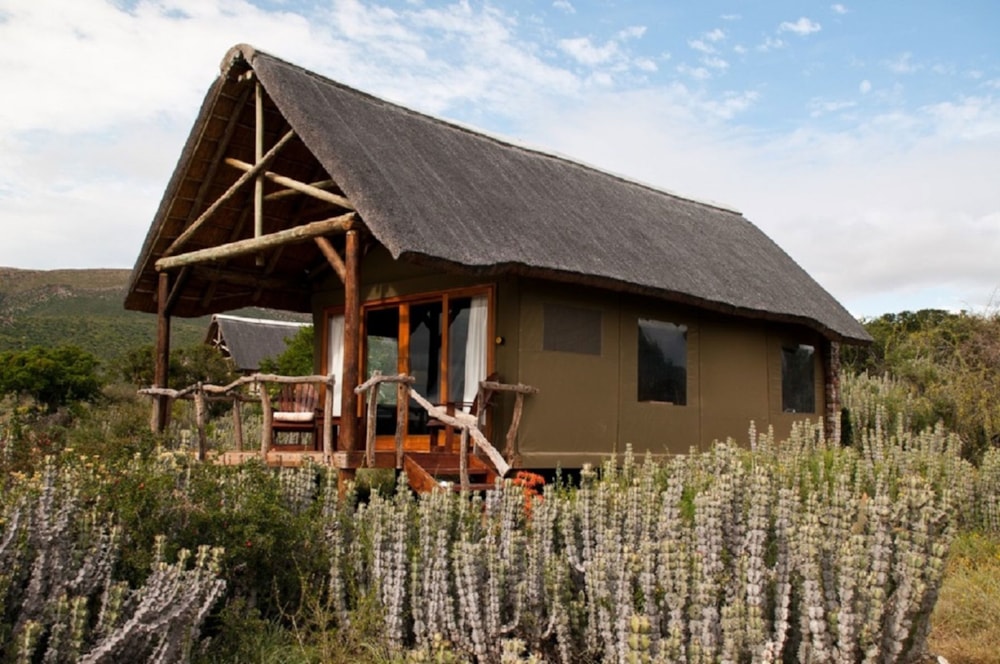 Game farm for sale in Jansenville - PGLAG1652008 Game farm for sale in Jansenville - PGLAG1652008