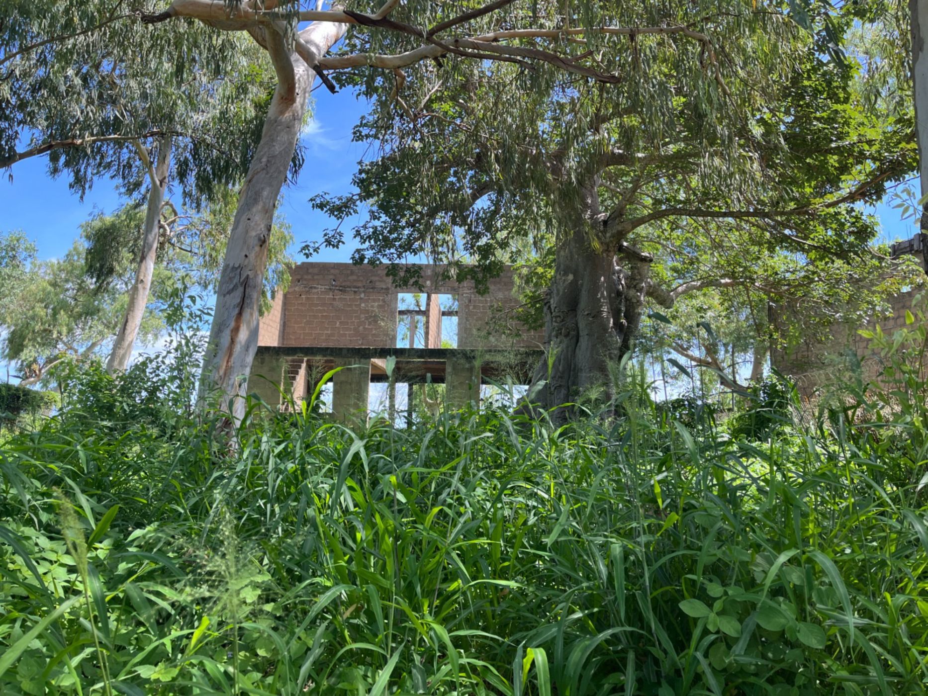 Vacant land for investment in Pemba, Cabo Delgado, Mozambique - 3MQ1652223