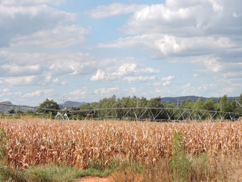 Mixed use farm for sale in Rustenburg - 1RU1652296