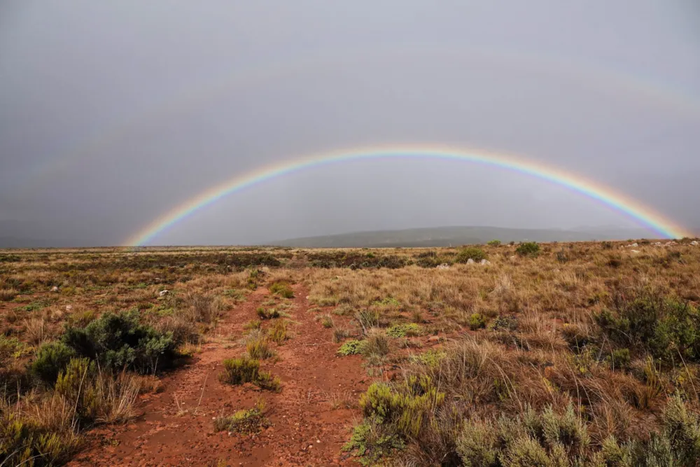 Fynbos farm for sale in Willowmore - 1KK1652646