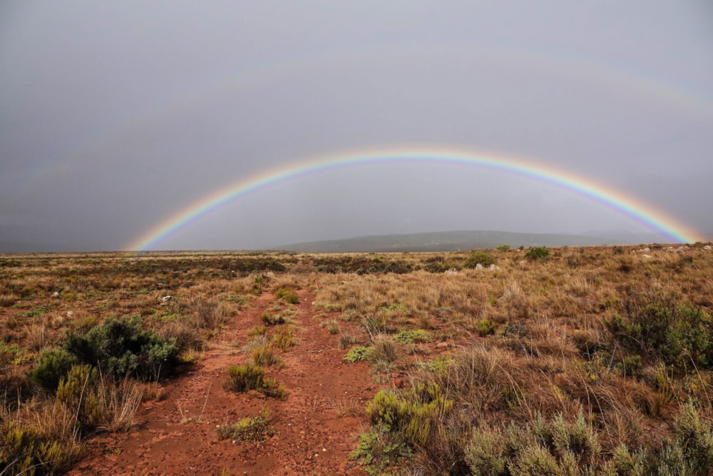 Fynbos farm for sale in Willowmore - 1KK1652646