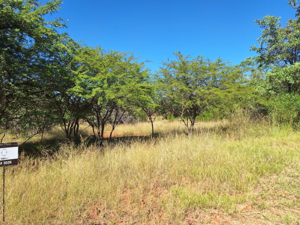 Vacant land for sale in Modimolle (Nylstroom) - 1MDM1652564