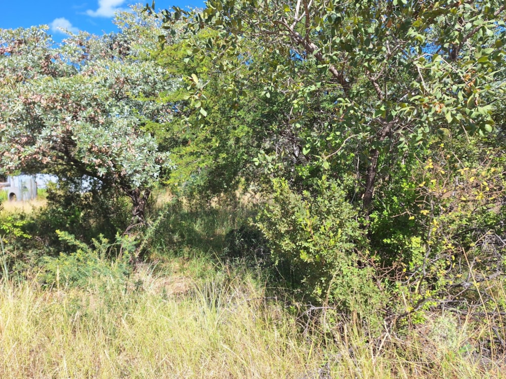 Vacant land for sale in Modimolle (Nylstroom) - 1MDM1652597