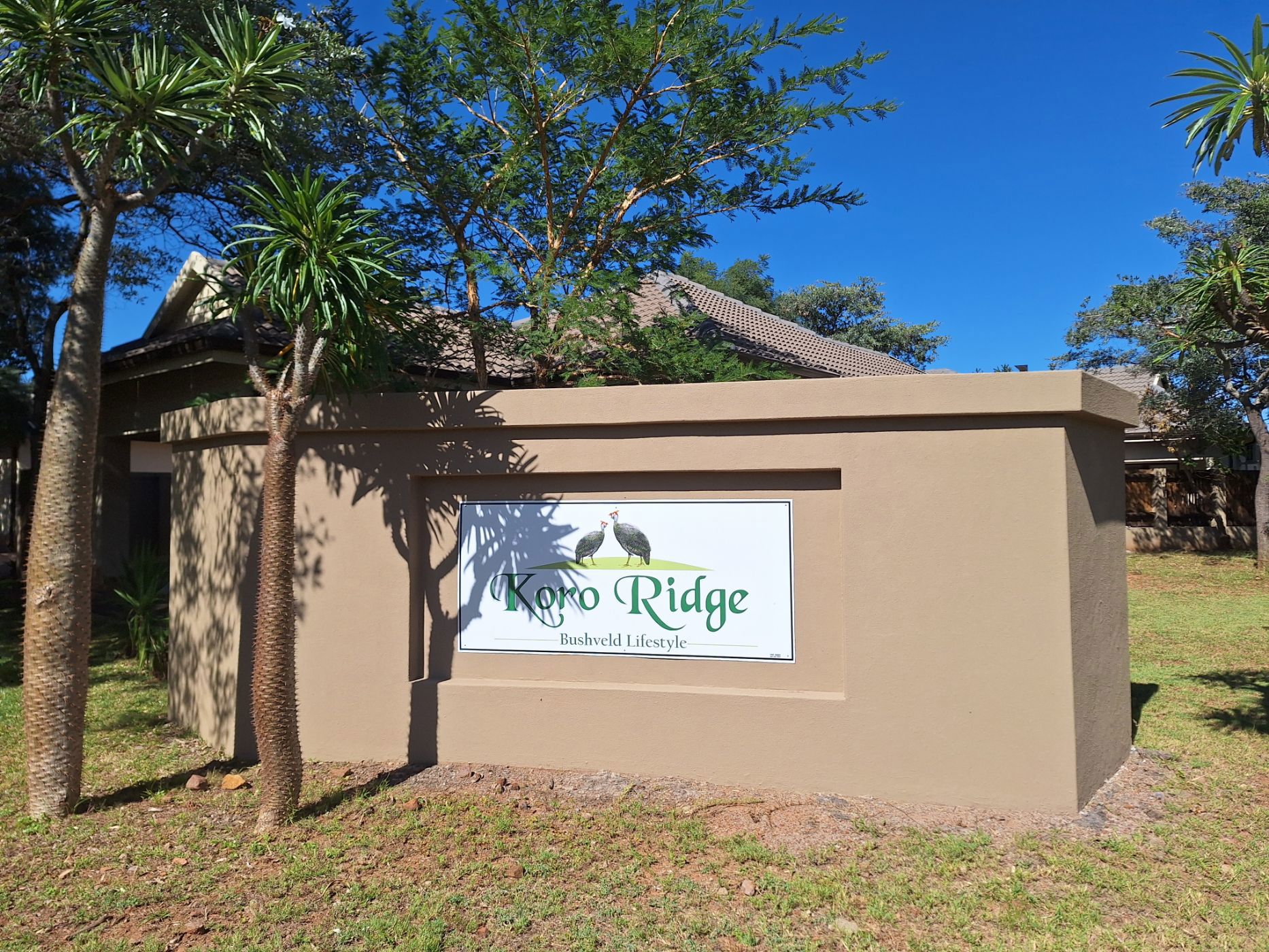 Vacant land for sale in Modimolle (Nylstroom) - 1MDM1652597