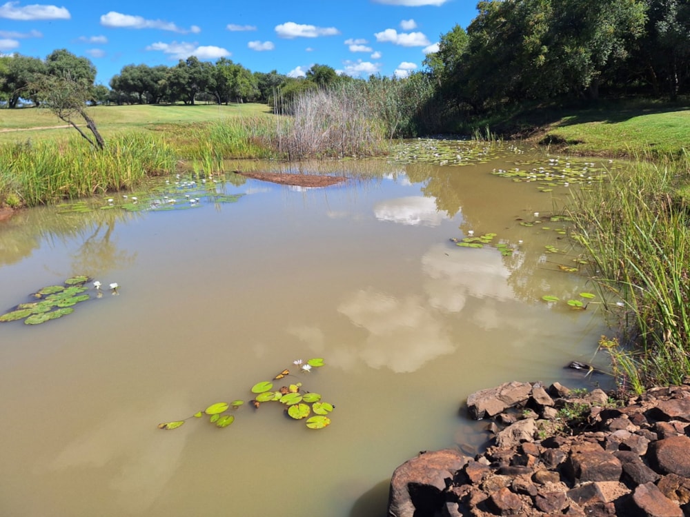 Vacant land for sale in Modimolle (Nylstroom) - 1MDM1652609