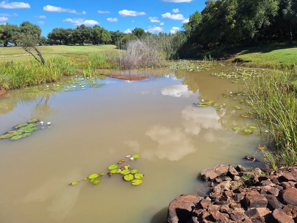 Vacant land for sale in Modimolle (Nylstroom) - 1MDM1652609 Vacant land for sale in Modimolle (Nylstroom) - 1MDM1652609