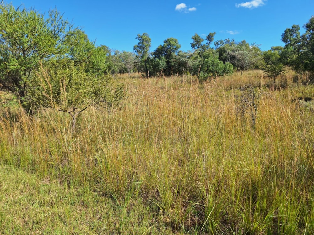 Vacant land for sale in Modimolle (Nylstroom) - 1MDM1652609
