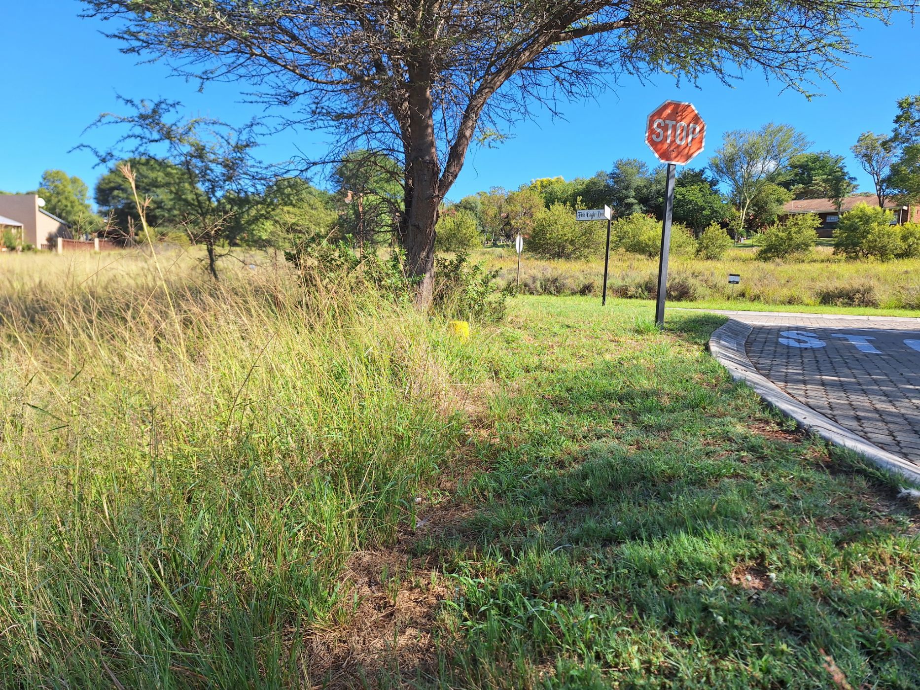 Vacant land for sale in Modimolle (Nylstroom) - 1MDM1652618