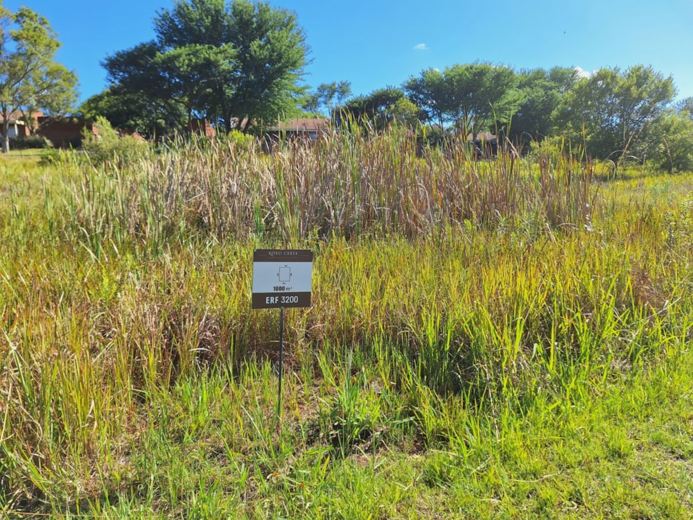 Vacant land for sale in Modimolle (Nylstroom) - 1MDM1652728 Vacant land for sale in Modimolle (Nylstroom) - 1MDM1652728