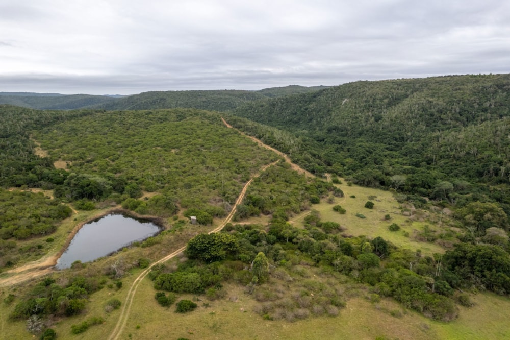 Game farm for sale in Port Alfred - 1PF1619540
