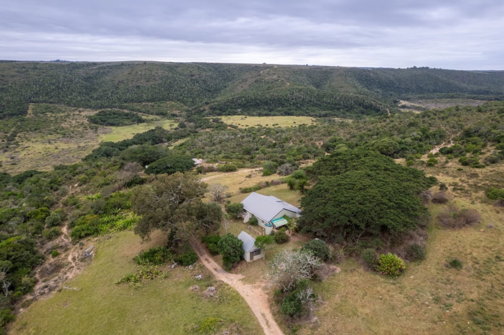 Game farm for sale in Port Alfred - 1PF1619540 Game farm for sale in Port Alfred - 1PF1619540