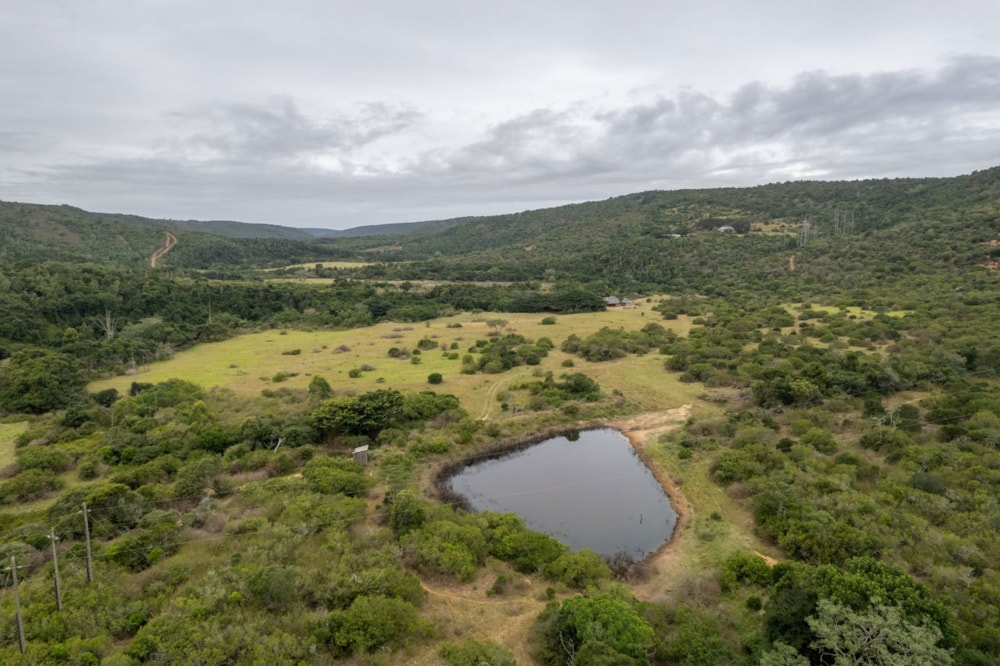 Game farm for sale in Port Alfred - 1PF1619540 Game farm for sale in Port Alfred - 1PF1619540